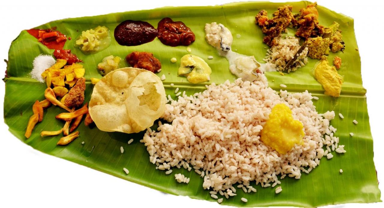 Unveiling the Health Benefits of Eating Leaves, A Comprehensive Guide Unveiling the Health Benefits of Eating Leaves, A Comprehensive Guide