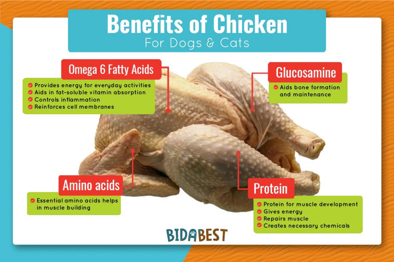 Health Benefits of Chicken of the Woods, Unlocking Natures Medicinal Marvel Health Benefits of Chicken of the Woods, Unlocking Natures Medicinal Marvel
