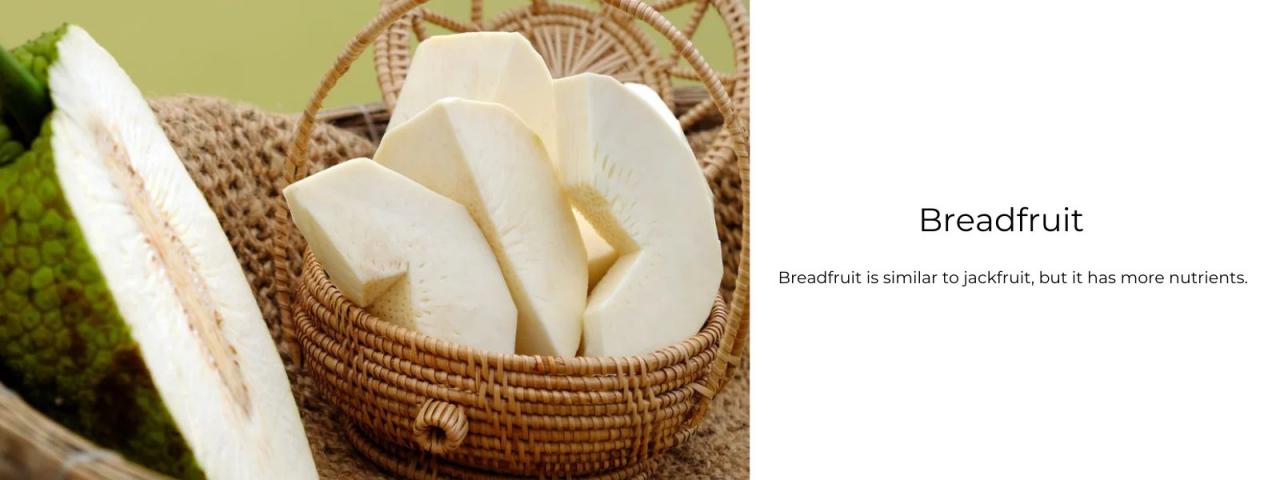 Health Benefits of Breadfruit Leaves, A Natural Remedy with Medicinal Properties Health Benefits of Breadfruit Leaves, A Natural Remedy with Medicinal Properties