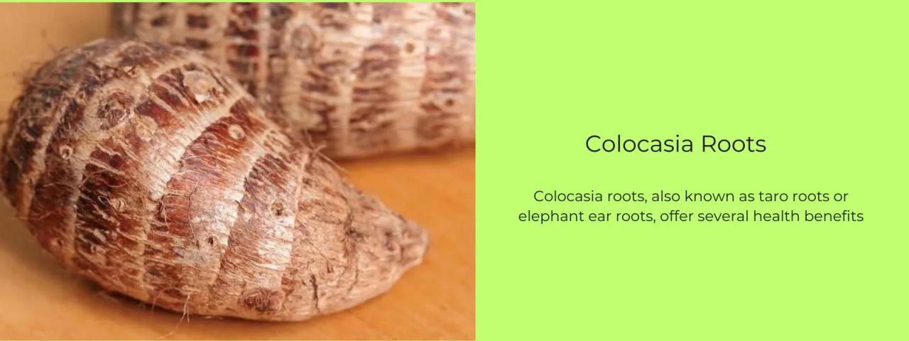 Discover the Health Benefits of Colocasia Leaves, A Nutritional Powerhouse Discover the Health Benefits of Colocasia Leaves, A Nutritional Powerhouse