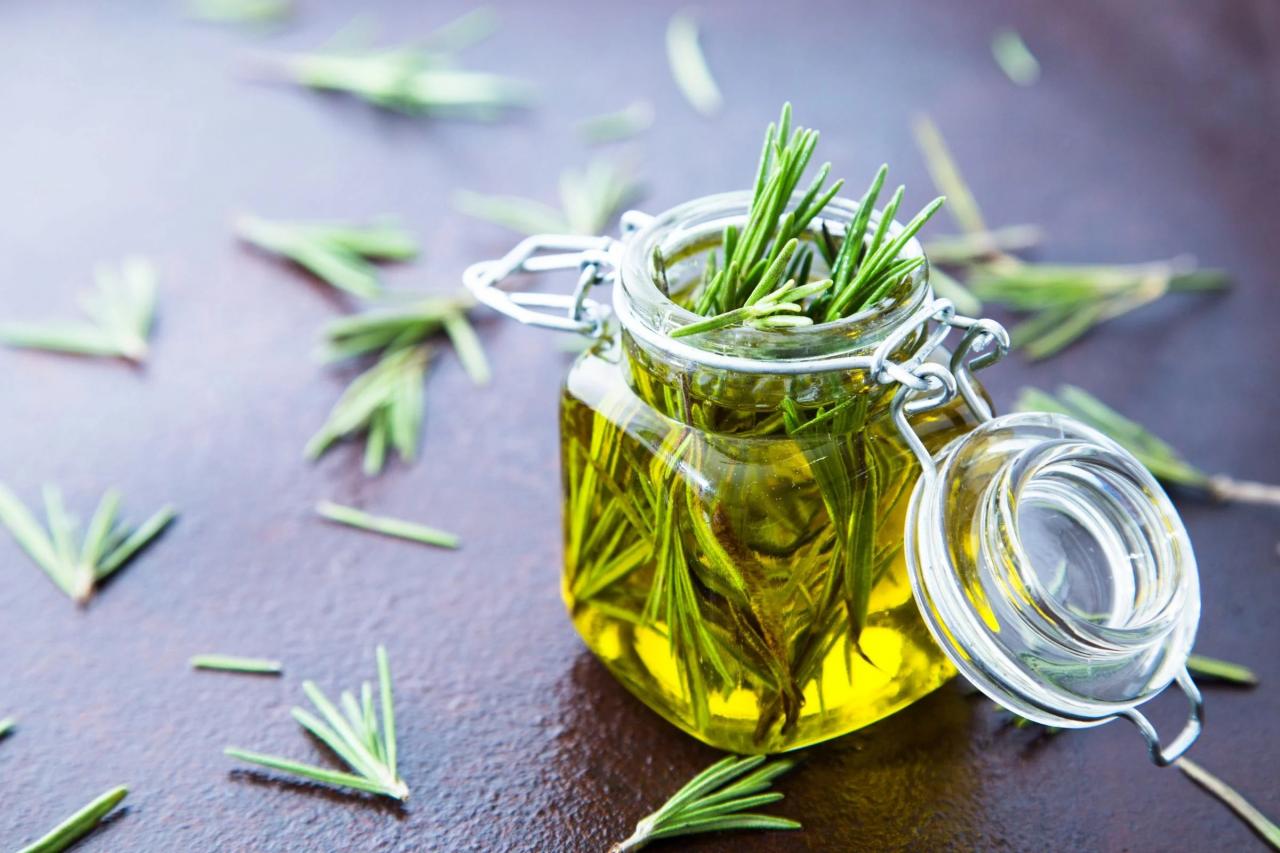 Rosemary for Hair, Unlocking the Power of Nature for Luscious Locks Rosemary for Hair, Unlocking the Power of Nature for Luscious Locks