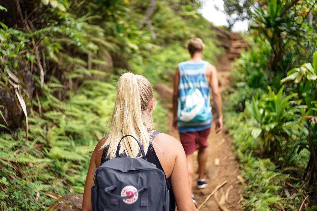 Health Benefits of Hiking in the Woods, A Path to Physical, Mental, and Cognitive Well-being Health Benefits of Hiking in the Woods, A Path to Physical, Mental, and Cognitive Well-being