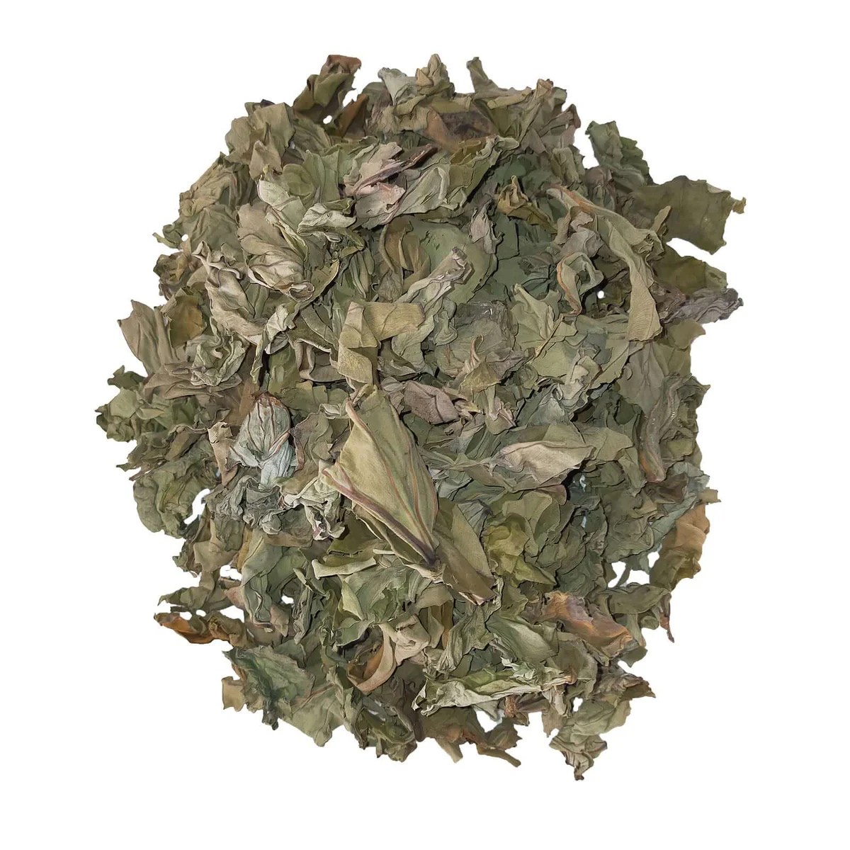 Gabi Leaves, Nutritional Powerhouse and Culinary Delight Gabi Leaves, Nutritional Powerhouse and Culinary Delight