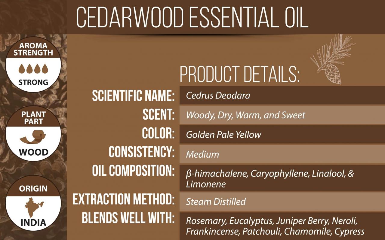 Benefits of Cedar Wood Oil, A Comprehensive Guide to Its Physical, Emotional, and Practical Uses Benefits of Cedar Wood Oil, A Comprehensive Guide to Its Physical, Emotional, and Practical Uses