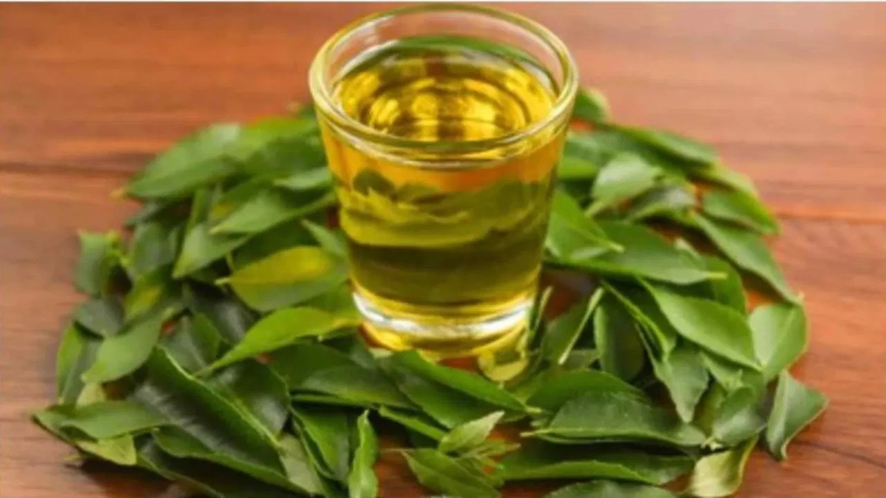 Health Benefits of Curry Leaves Tea, Unveiling Natures Remedy Health Benefits of Curry Leaves Tea, Unveiling Natures Remedy