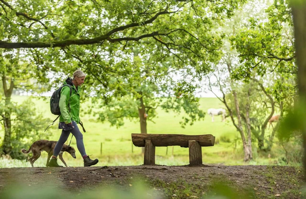 Unveiling the Health Benefits of Forest Bathing, A Path to Well-being Unveiling the Health Benefits of Forest Bathing, A Path to Well-being
