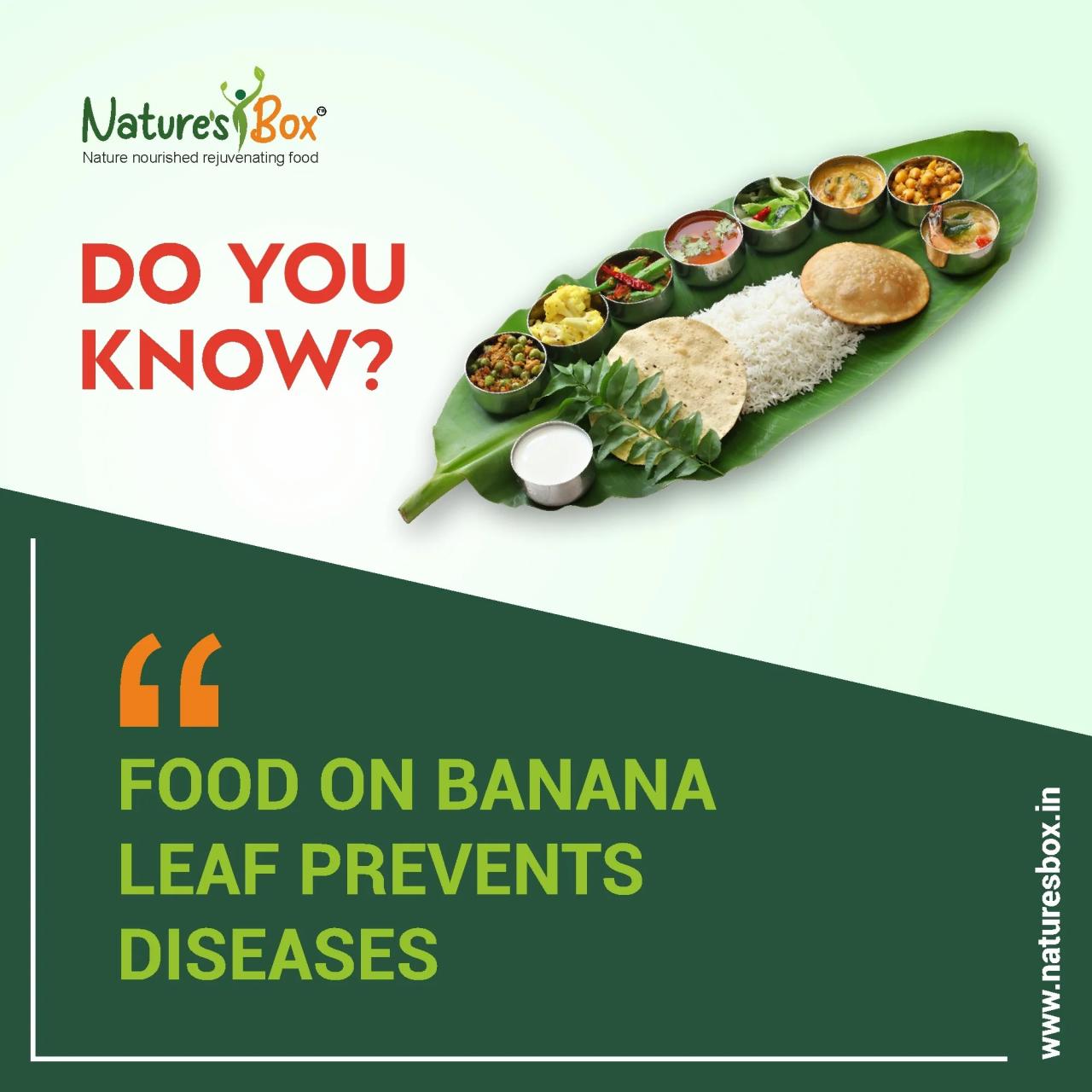 What Are the Benefits of Banana Leaves? A Comprehensive Guide to Their Nutritional Value, Culinary Uses, and More What Are the Benefits of Banana Leaves? A Comprehensive Guide to Their Nutritional Value, Culinary Uses, and More