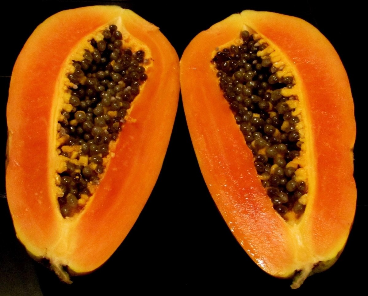 Unveiling the Remarkable Health Benefits of Pawpaw Leaves, A Comprehensive Guide Unveiling the Remarkable Health Benefits of Pawpaw Leaves, A Comprehensive Guide